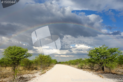 Image of rainbow