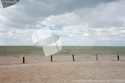 Image of Etosha landscape