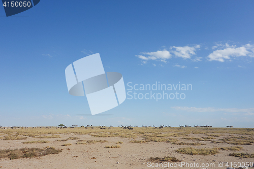 Image of Etosha landscape