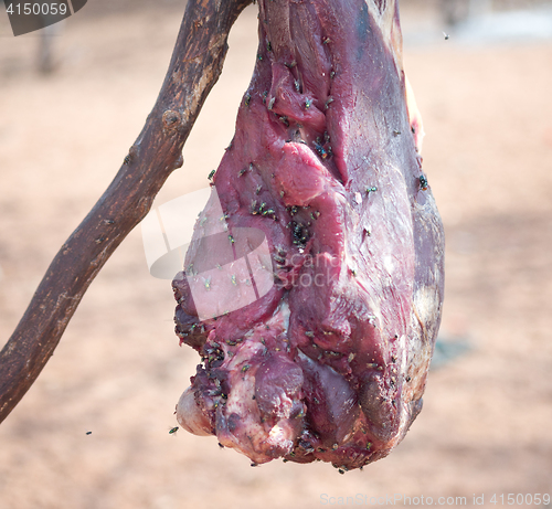 Image of meat with flies