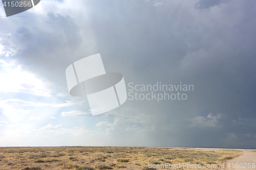 Image of desert landscape