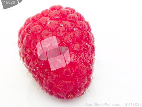 Image of Raspberry