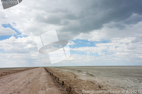 Image of Etosha landscape