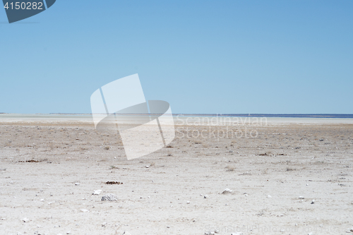 Image of Etosha park