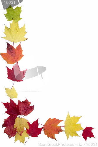 Image of Autumn Maple Leaf Frame