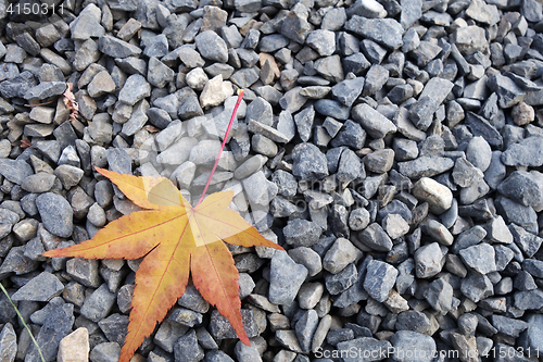 Image of Yellow leave lie on unpolished natural stone