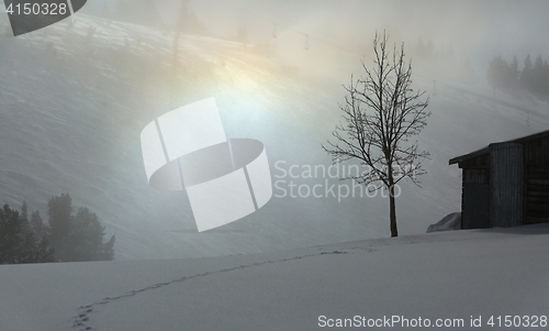 Image of Foggy winter landscape