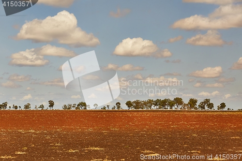 Image of Endless barren field