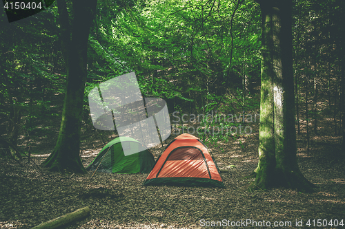 Image of Camping tents in a forest