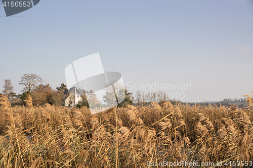 Image of Mansion in wild nature with grass