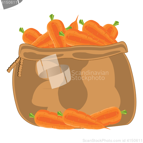 Image of Bag with carrot