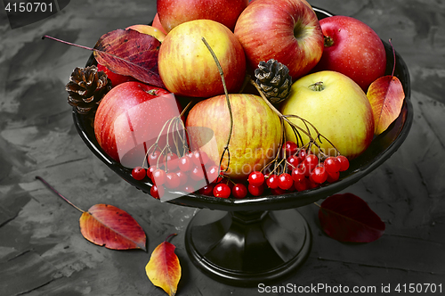 Image of Apple and viburnum