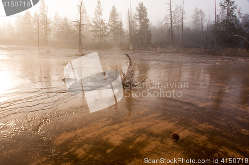 Image of Yellowstone National Park, Utah, USA