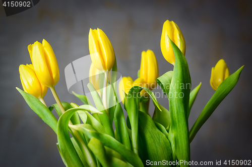 Image of Bouquet of yellow tulips