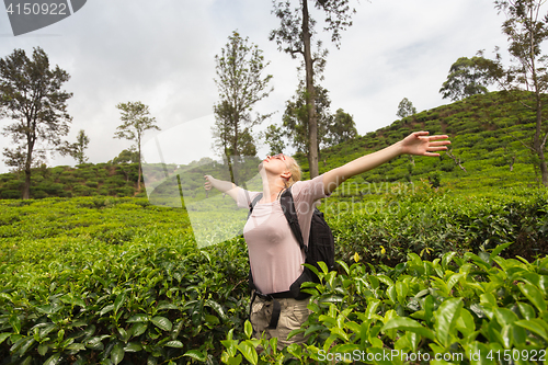 Image of Female tourist enjoying beautiful nature of tea plantations, Sri Lanka.