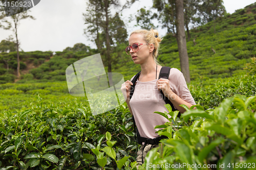 Image of Female tourist enjoying beautiful nature of tea plantations, Sri Lanka.