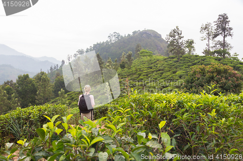 Image of Female tourist enjoying beautiful nature of tea plantations, Sri Lanka.