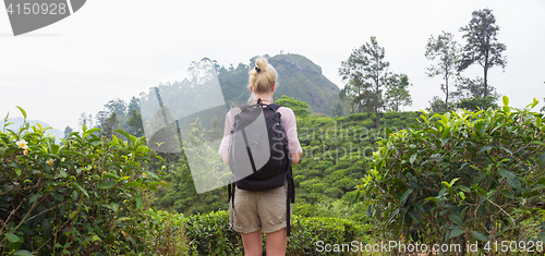 Image of Female tourist enjoying beautiful nature of tea plantations, Sri Lanka.