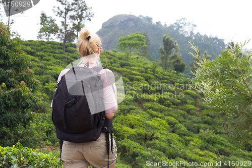 Image of Female tourist enjoying beautiful nature of tea plantations, Sri Lanka.