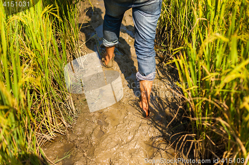 Image of Walking through mud