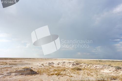 Image of Etosha landscape