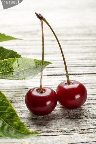 Image of Cherry