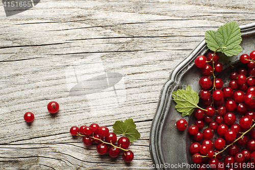 Image of Redcurrant