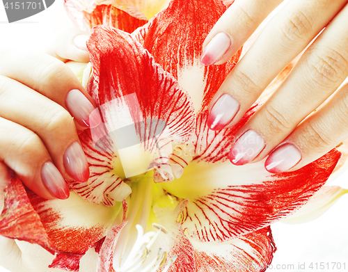 Image of beauty delicate hands with pink Ombre design manicure holding re