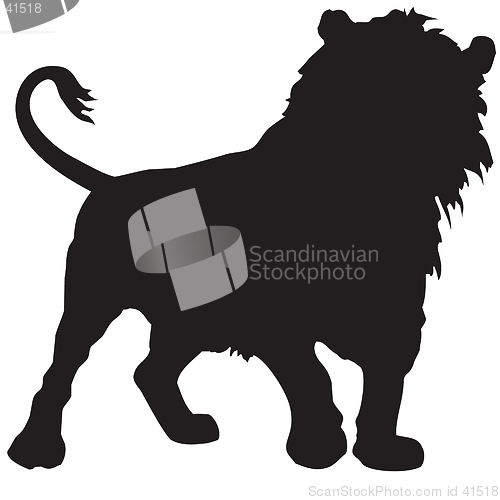 Image of lion
