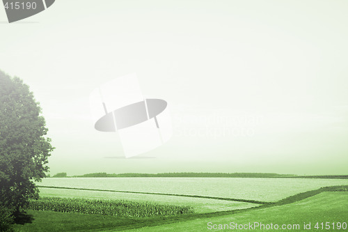 Image of Country landscape