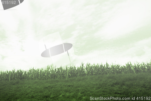 Image of Country landscape