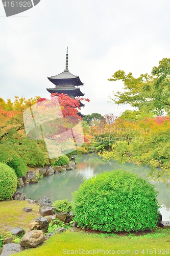 Image of Five storied pagoda and autumn leaves at Toji temple in Kyoto