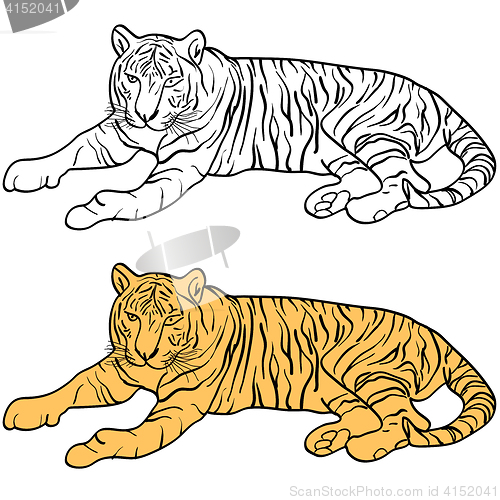 Image of Sketch beautiful tiger on a white background. illustration