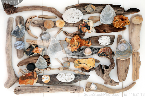 Image of Treasure from the Beach