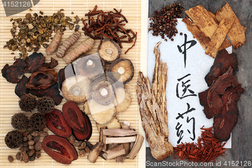 Image of Chinese Herbal Medicine Selection