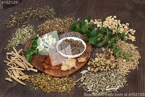 Image of Herbal Medicine for Anxiety and Sleeping Disorders