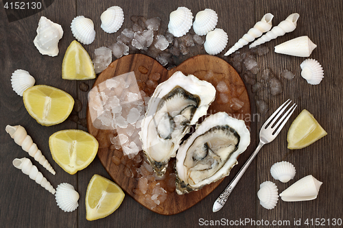 Image of Oyster Shellfish