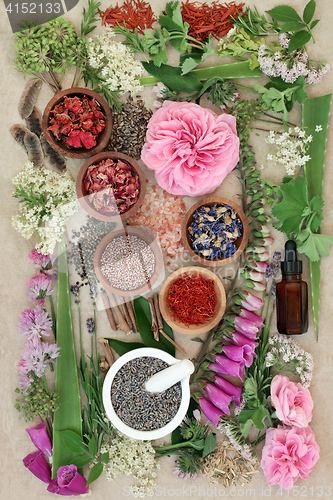 Image of Herbal Medicine Selection