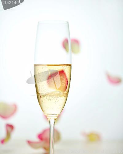 Image of glass of champagne and falling rose petals