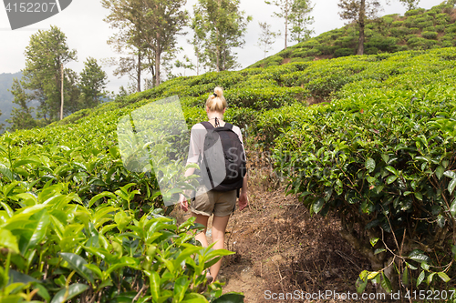 Image of Female tourist enjoying beautiful nature of tea plantations, Sri Lanka.