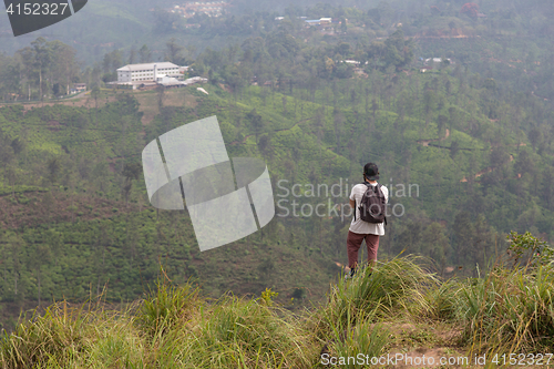 Image of Male tourist enjoying beautiful view of tea plantations, Sri Lanka.