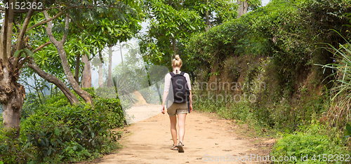 Image of Female tourist enjoying beautiful nature of tea plantations, Sri Lanka.