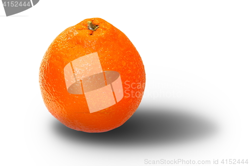 Image of orange fruit over white with shadow
