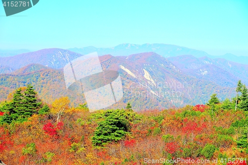 Image of Autumn colors at Kurikoma highlands in Akita and Iwate