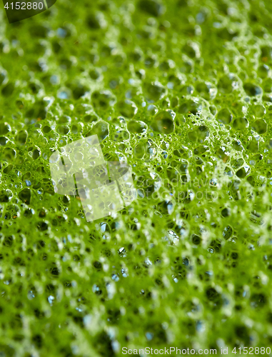 Image of close up of matcha green tea latte foam bubbles