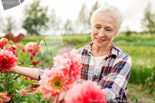 Image of senior woman with flowers at summer garden