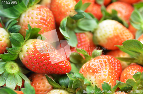 Image of Fresh ripe strawberry  