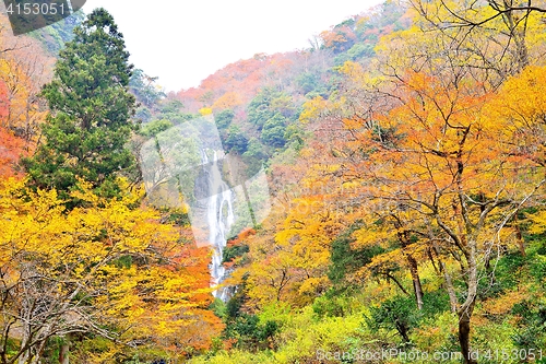 Image of Kanba waterfall and autumn colors in Okayama