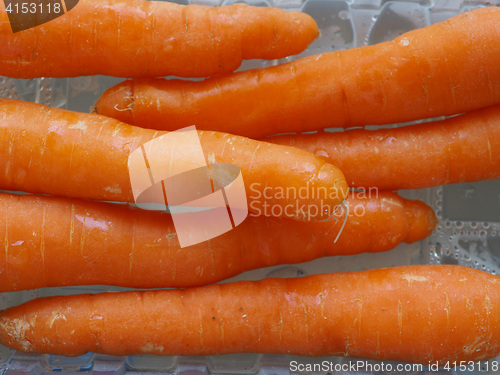 Image of Orange carrots vegetables