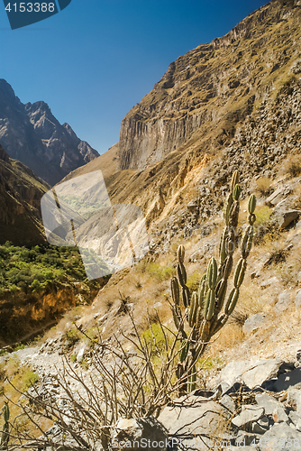 Image of Valley between rocks